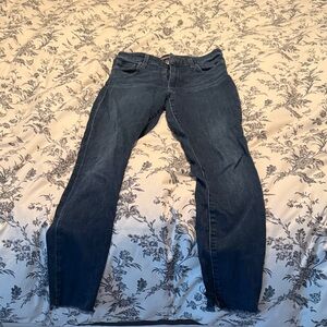 Joe's Jeans Dark Blue Skinny Jeans